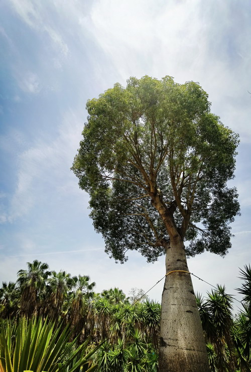 翰墨写初心，妙笔扬清风——省建设科研院组织参加集团纪委清廉文化作品展(图5)